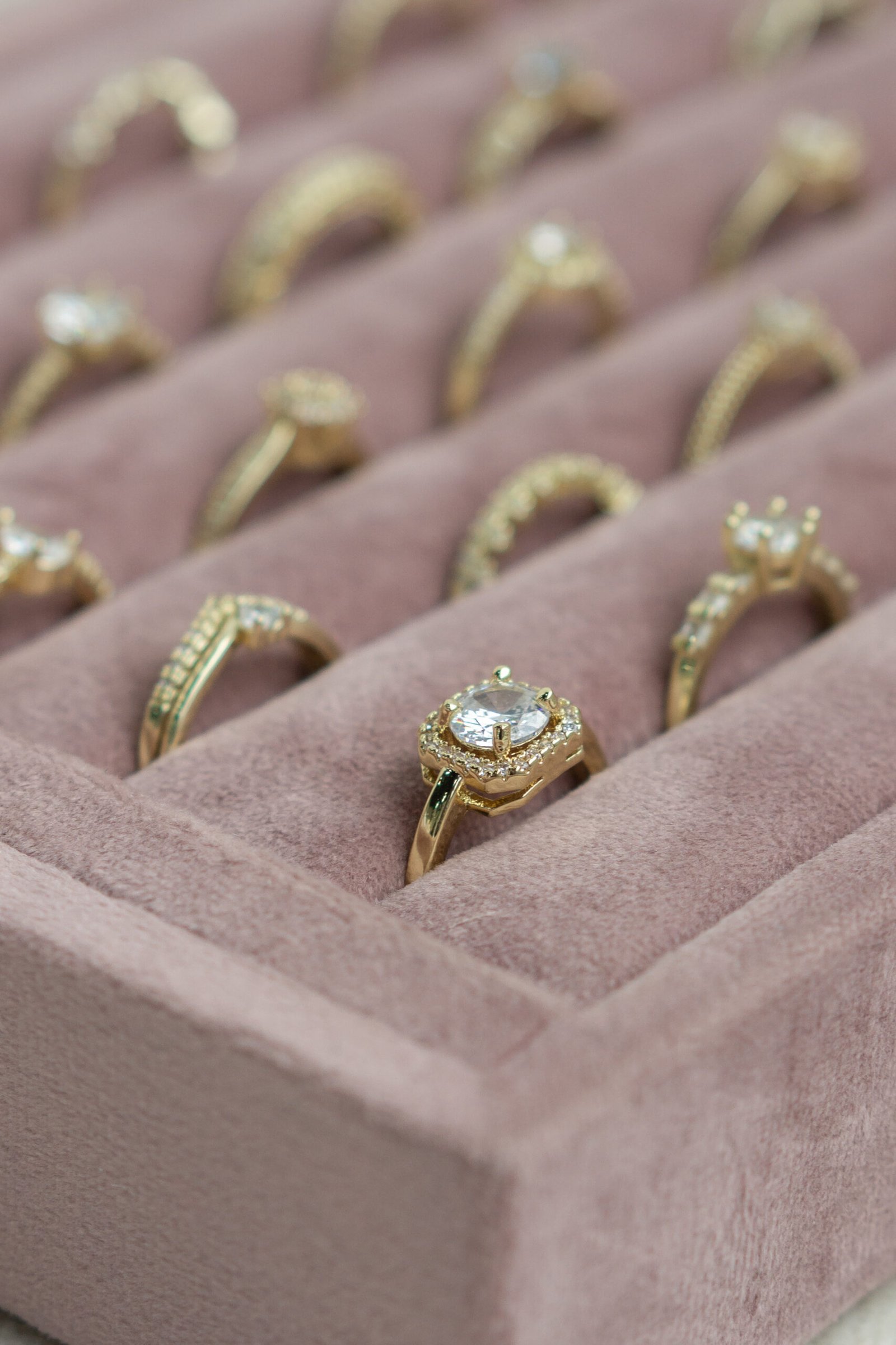 DSC03892 Anillos 10 - Imagen 1