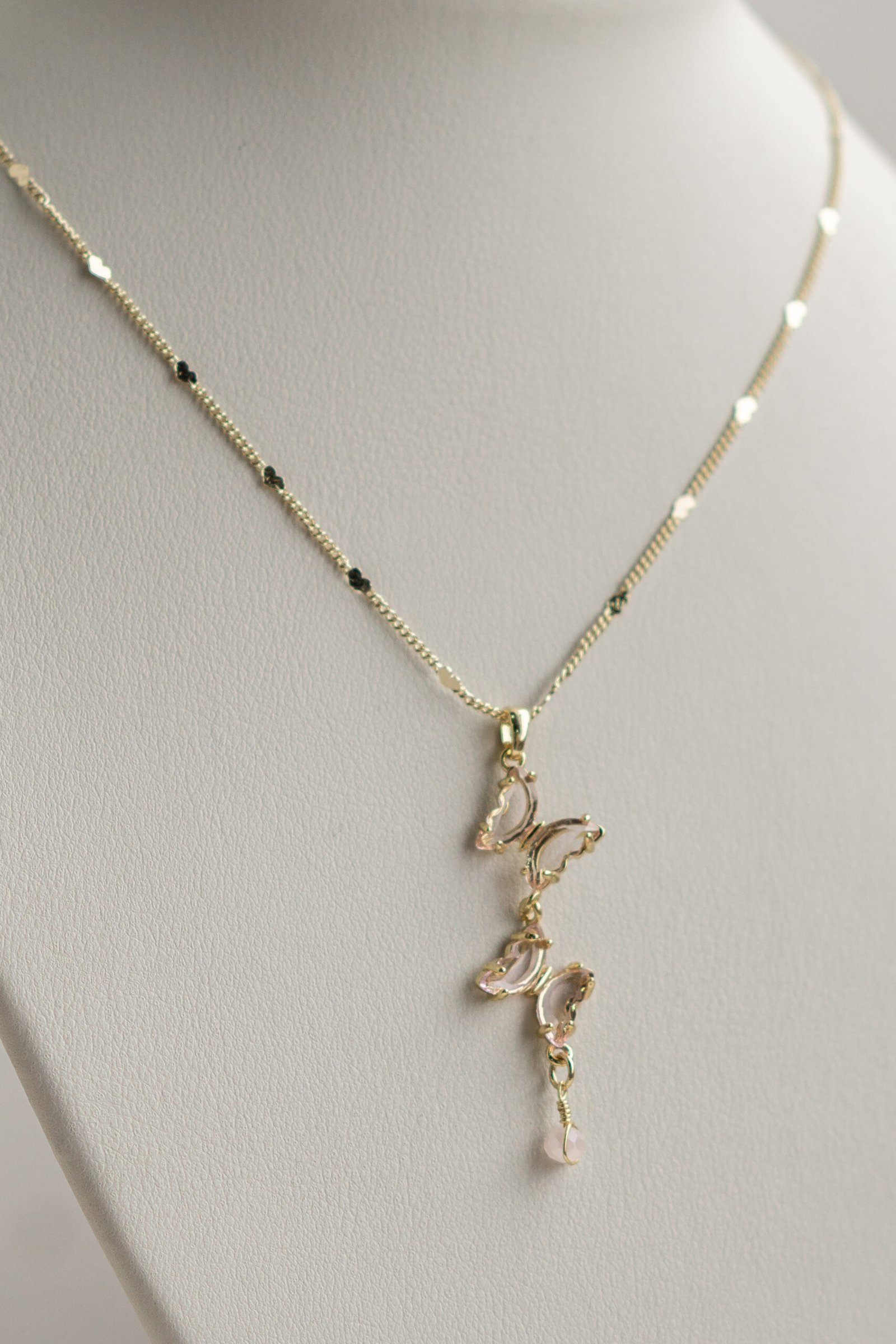 DSC03911 Collares 5 - Imagen 1